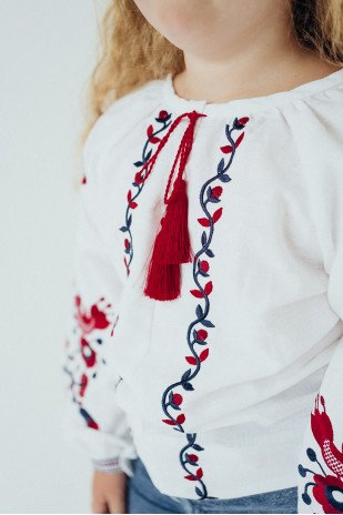 Vyshyvanka VDFM20 Vyshyvanka VDFM20