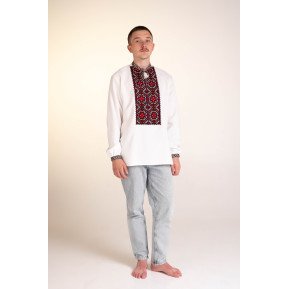 Embroidered shirt VCHKM154