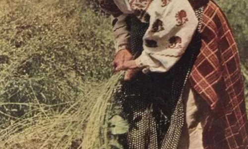 History of Ukrainian embroidery!