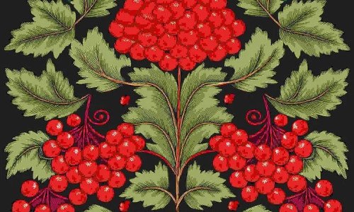 Орнамент калини на вишиванці - стильний та сучасний орнамент