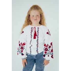Vyshyvanka VDFM20