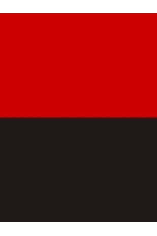 Flag PR1