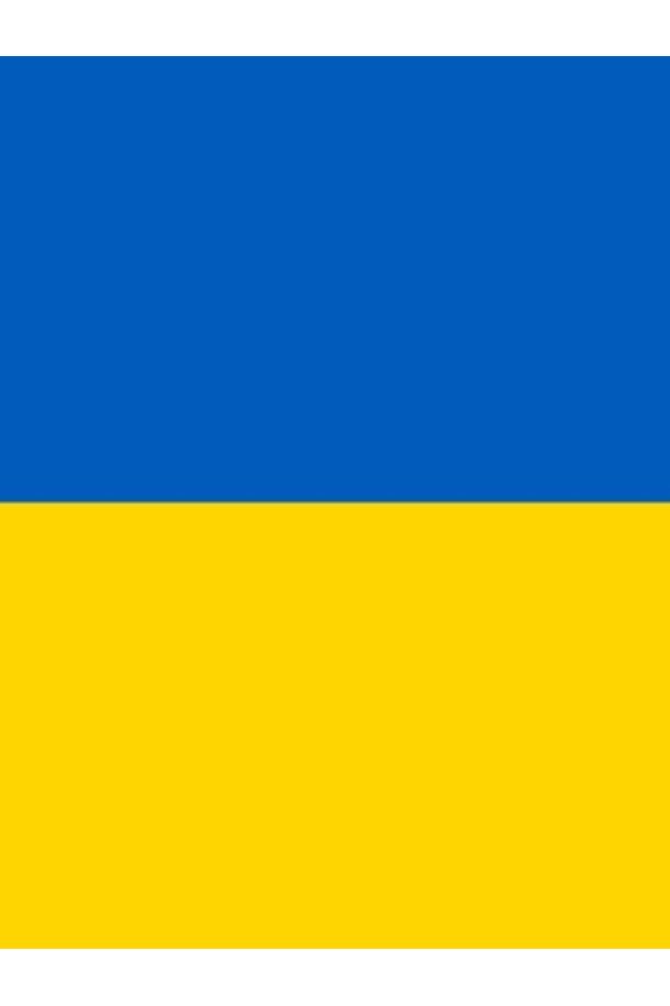 Flag PR3