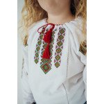 Вишиванка Дівчинка VDLL41